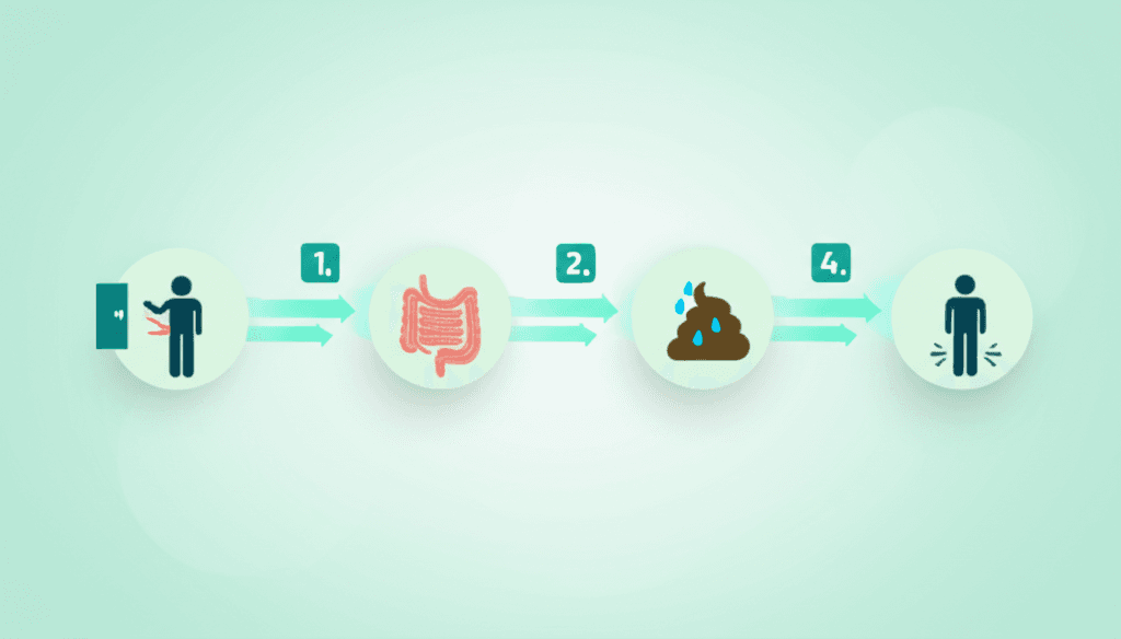 Various medical charts and data illustrating digestive system functions