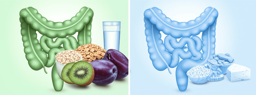 변비 완벽 해결! 2026년 전문가 추천, 변비에 좋은 음식 vs 피해야 할 음식 총정리