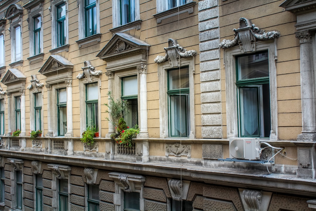 창문 통풍 실내 식물