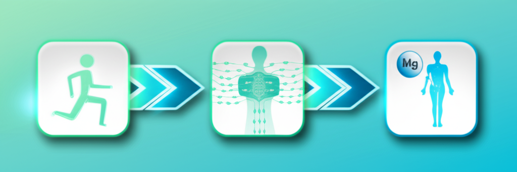 A variety of magnesium supplement bottles, some showing different forms (citrate, glycinate, oxide), with a focus on clear labeling.