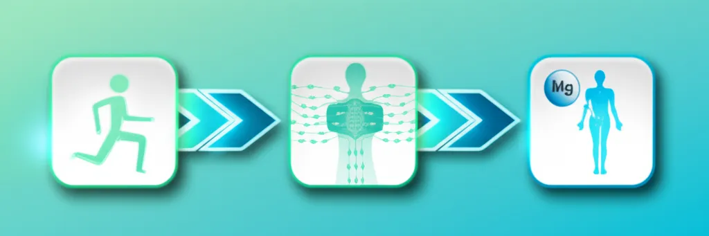 A variety of magnesium supplement bottles, some showing different forms (citrate, glycinate, oxide), with a focus on clear labeling.